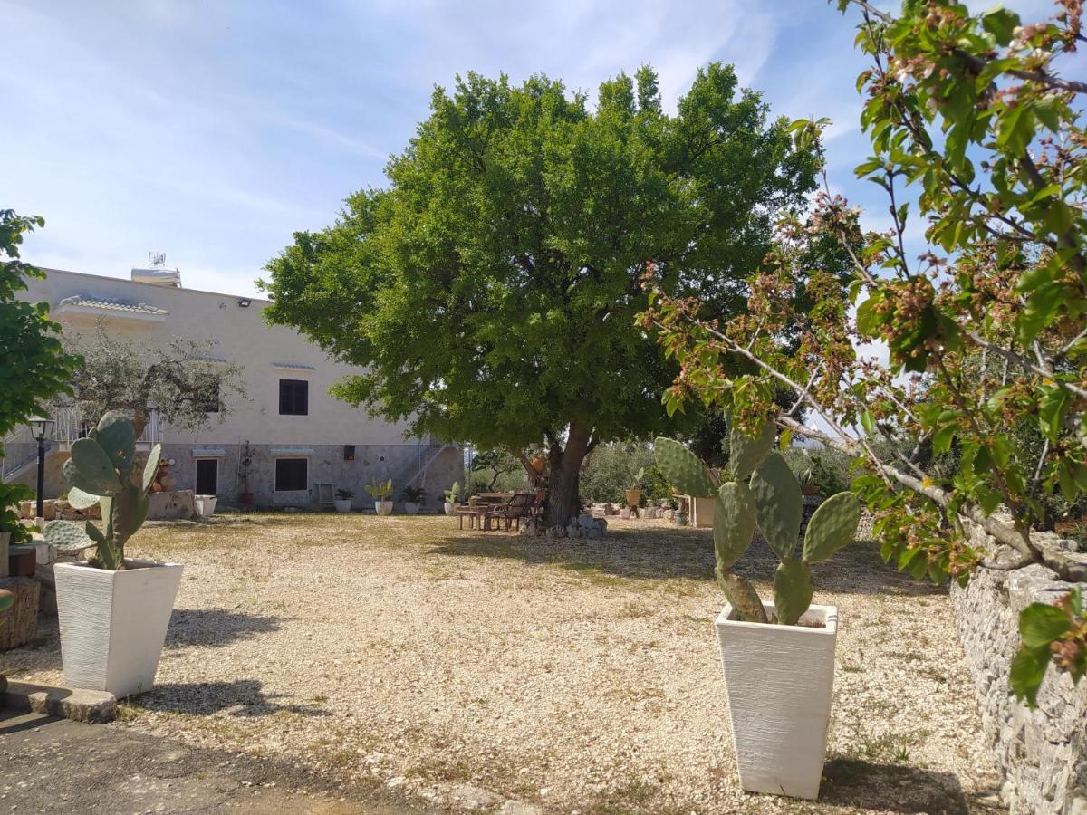 Da Gio - Casa Vacanze A Locorotondo Dış mekan fotoğraf