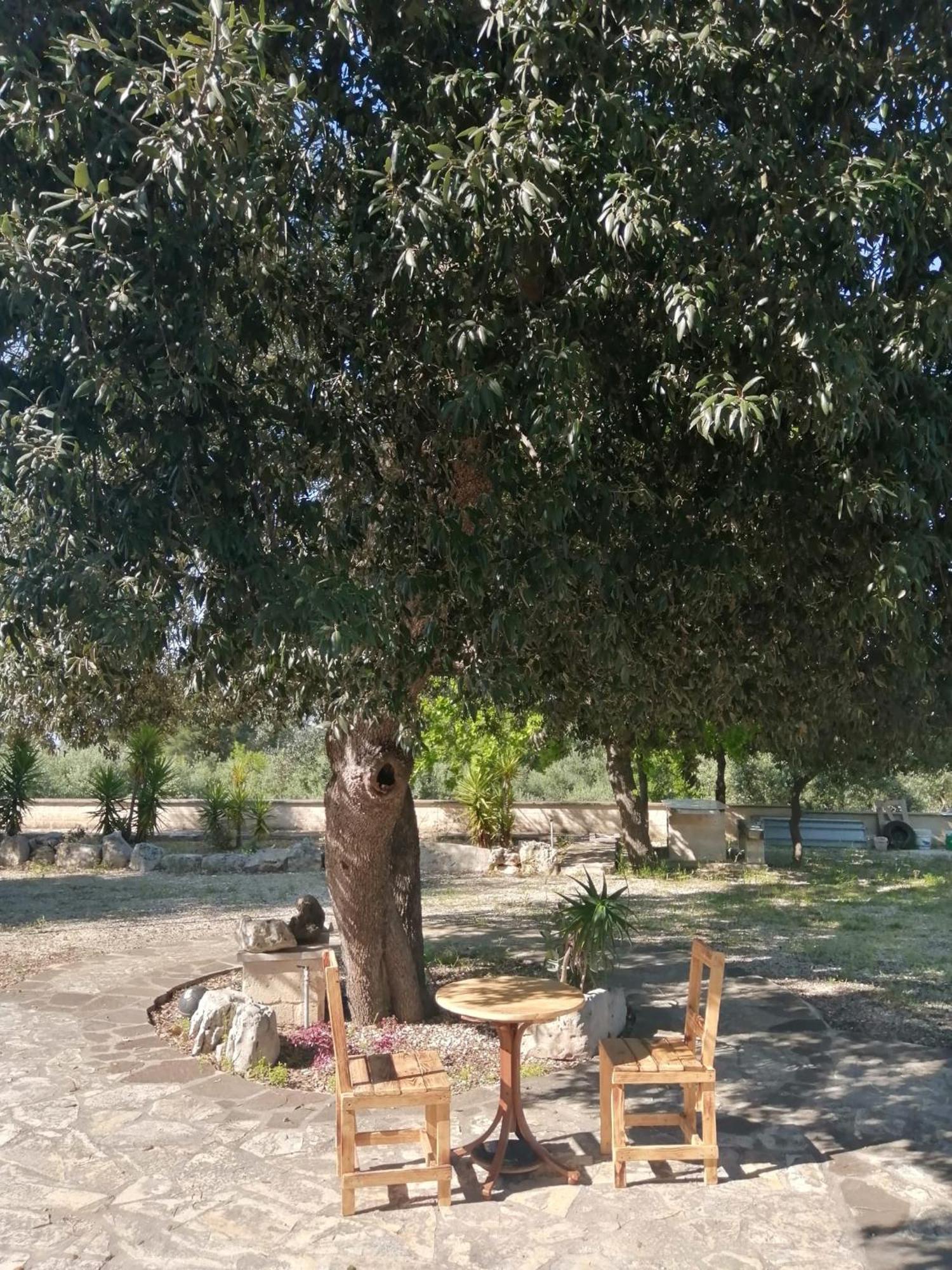 Da Gio - Casa Vacanze A Locorotondo Dış mekan fotoğraf